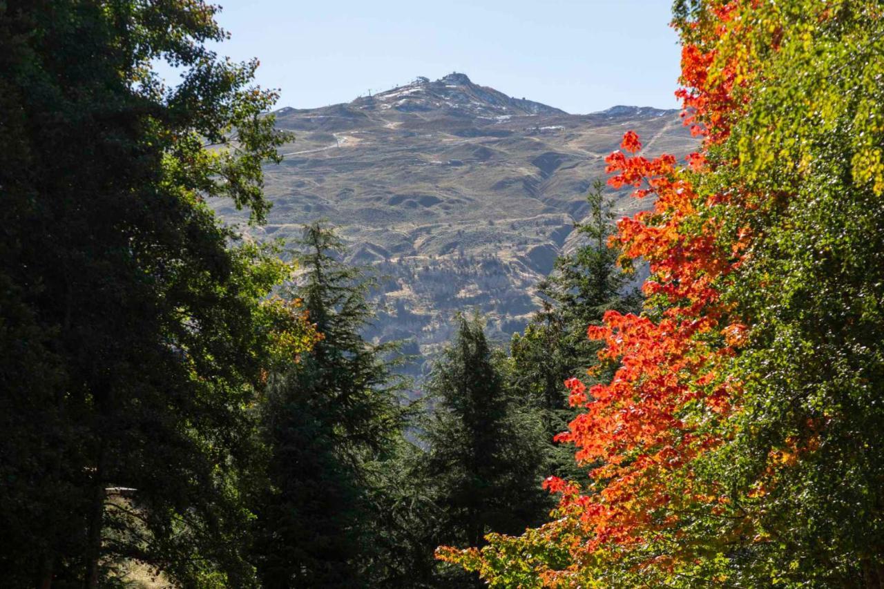 Arrow Wood - Minutes To Arrowtown, Golf And Wineries - Luxury Living Βίλα Εξωτερικό φωτογραφία